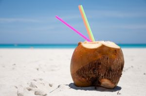 Post image for Coconut Milk Ice Cream