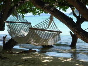 Post image for Banana Hammock