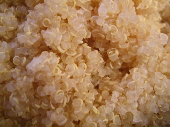 Post image for Quinoa – A Complete Protein