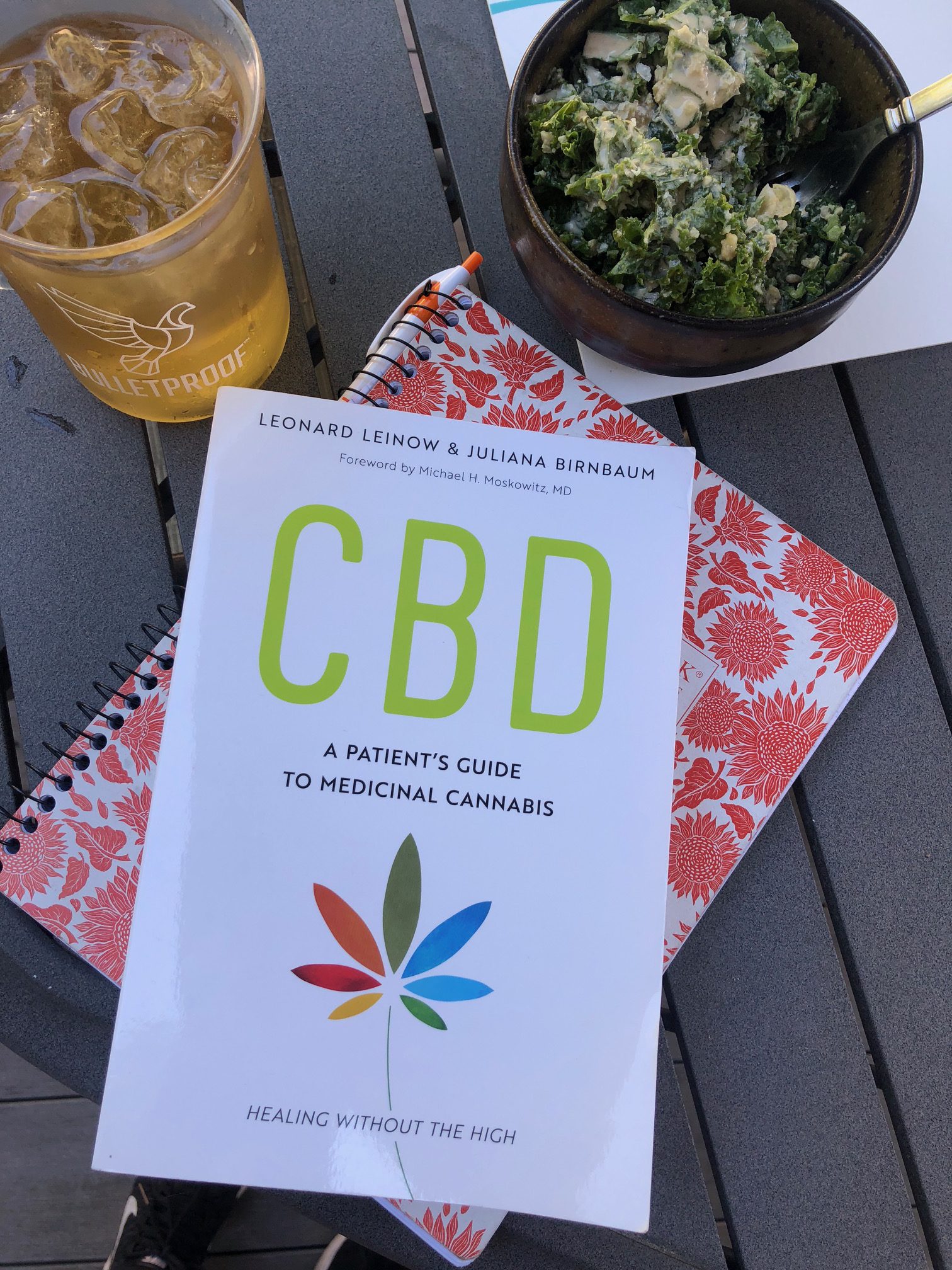 CBD BOOK - Healthy Crush