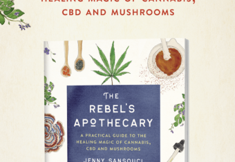 My First Book Is Here! Introducing The Rebel’s Apothecary