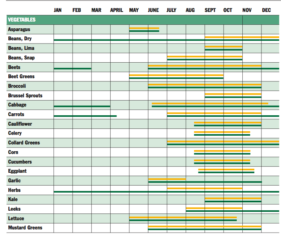 What Produce is in Season? - Healthy Crush