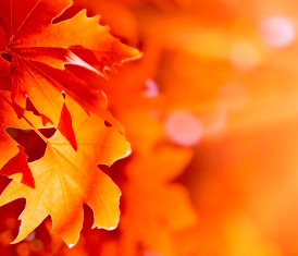 20 Things to Love About Fall