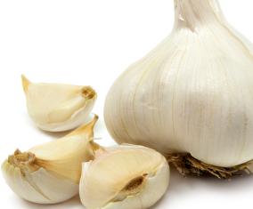 Garlic: The Natural Antibiotic