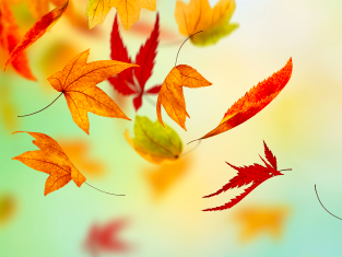 In Times Of Change…