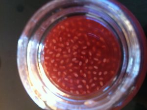 chia seed kombucha